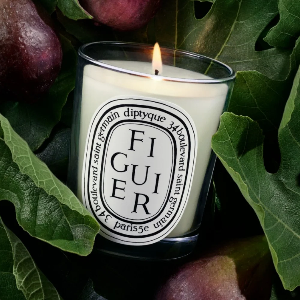 Diptyque Figuier Small Jar Candle 70g - Image 3