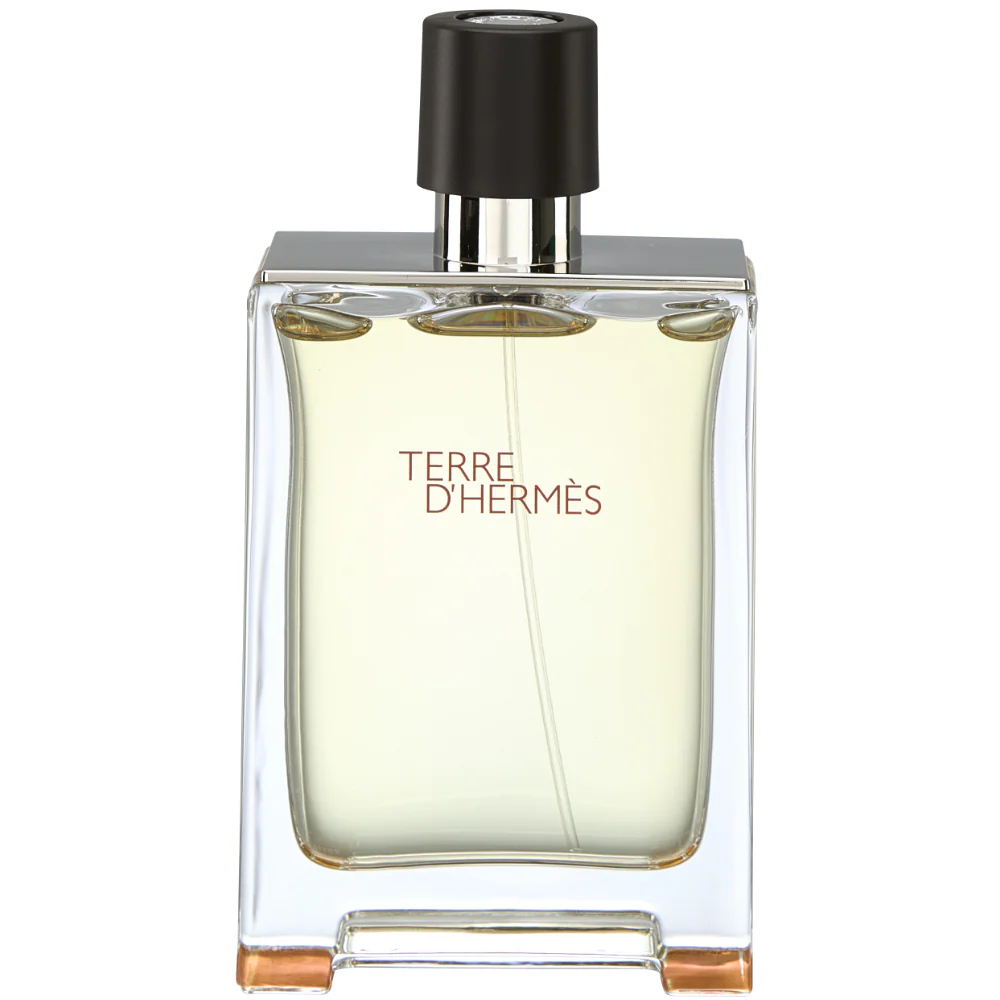Hermes Terre D'Hermes Eau De Toilette 100ml