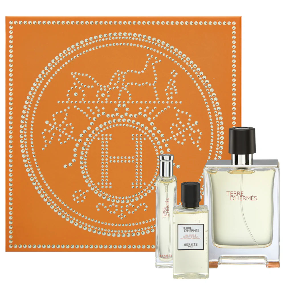 Hermes Terre D'Hermes Eau De Toilette & Shower Gel Gift Set 100ml