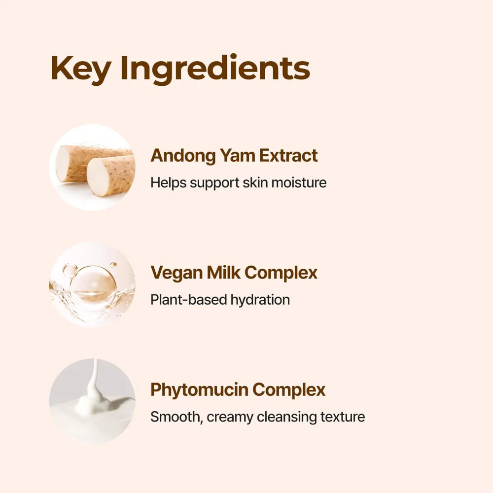 Isntree Yam Root Vegan Milk Cleanser 220ml - Image 7